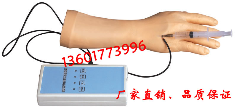 电子手臂静脉穿刺训练模型(带报警装置) 电子手部注射模型