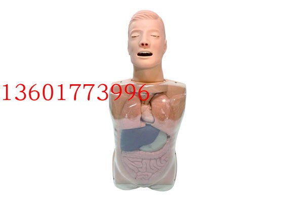 鼻泪管理液训练模型 鼻泪管通液示教模型 透明上半身护理模型