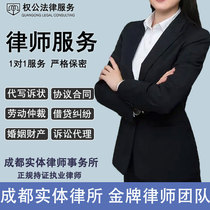 Legal consulting services contract agreement drafting divorce criminal labor arbitration lawyer agency prosecution document writing