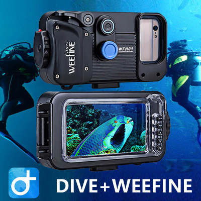 (Whale Detective) Dive+ x Weefine Mobile Waterproof Case Diving Waterproof Mobile Phone Waterproof Case Rental