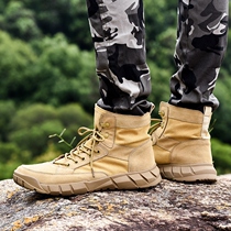 Mountaineering shoes mens hiking shoes womens autumn desert lightweight high-top outdoor shoes off-road mountain shoes climbing shoes tactical shoes