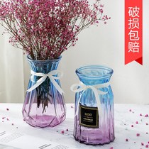 Transparent glass vase Dried flowers flower arrangement hydroponic glass bottle Living room creative small fresh ornaments Flower arrangement decorative flower pot