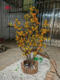 Artificial Trees, Fake Sea Buckthorn Trees, Artificial Fruit Trees, Home Floral Art, Soft Decoration, Indoor and Outdoor Floor-Standing Landscaping Decorative Ornaments