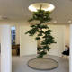 Large Hanging Artificial Welcoming Pine Tree Wall Decoration with Upside-Down Pine Branches for Indoor Display, Tea Room, Entrance, Hotel Landscaping