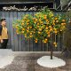 Artificial Orange Tree for Indoor Use, Large Fake Apple, Persimmon, Orange, Pomegranate Tree, Hawthorn Tree, Floor-Standing Floral Arrangement for Hotels and Shopping Malls