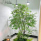Simulated Maple Tree, Chicken Claw Maple Landscape Display Window, Shopping Mall Tea Room Artificial Tree Decoration, Floor-Standing Ornament, Solid Wood Tree Landscaping