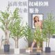 Potted Bellflower Plant Japanese Camellia Tree Plant Nordic Style Plant Decoration for Living Room Large Artificial Green Plant