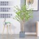 Potted Bellflower Plant Japanese Camellia Tree Plant Nordic Style Plant Decoration for Living Room Large Artificial Green Plant
