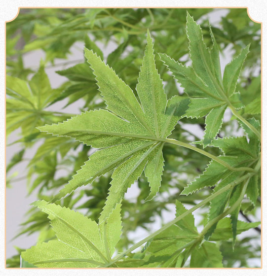Artificial Green Maple Tree Japanese-Style Garden Maple Fake Tree Large Indoor Landscaping Zen Wabi-Sabi Style Dry Landscape Feature