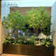 High-End Horsewood Window Display Landscaping, Artificial Plants, Indoor Simulated Greenery, Decorative Trees, Large Fake Trees, Minimalist Landscape