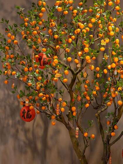 Artificial Orange Tree for Indoor and Outdoor Decoration, New Chinese-Style Fake Tree, Pomegranate Tree, Large Green Plant for Landscaping, Zen-Inspired Soft Decoration for Display Windows