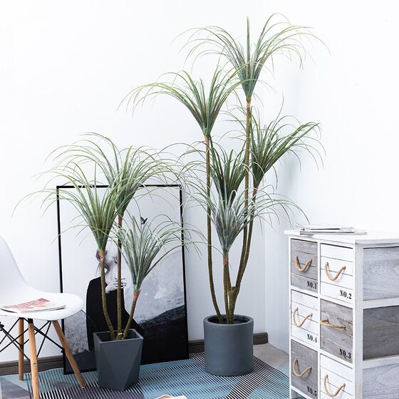 Large Artificial Green Plant Dragon Blood Tree Nordic Imitation Bonsai Decorative Plant Millennium Wood Living Room Floor-Standing Fake Potted Plant