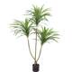 Nordic Large-Scale Artificial Dragon Blood Tree Green Plant Fake Tree Potted Plant Floor Plant Millennium Wood Living Room Decoration