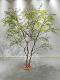 Large Artificial Nandina Bamboo Green Plant, Fake Tree for Indoor and Outdoor Dry Landscape Decoration, Luxury Artificial Tree