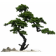 Artificial Welcoming Pine Tree in New Chinese Style, Floor-Standing Ornament for Entrance and Courtyard, Pine Tree and Arborvitae Design, Landscape-Style Solid Wood Fake Tree