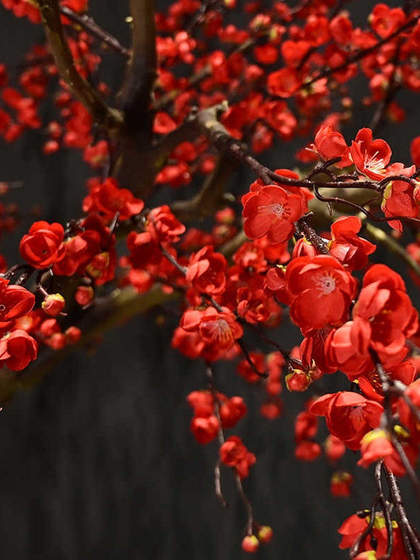 Artificial Plum Blossom Tree, Peach Blossom Tree, Large Decorative Tree, Simulated Green Plant, Window Display, Hotel Landscaping, Landscape Wishing Tree, Fake Tree