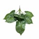 High-Quality Artificial Large Bunches of Hand-Feel Realistic Bird's Nest Fern and Colorful Taro Leaves for Indoor Landscape and Garden Decoration