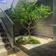 Artificial Bellflower Tree Indoor and Outdoor Window Decoration Fake Tree Horsewood Landscaping Combination Large Fake Green Plant Landscape Ornament