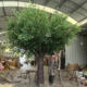 Large Artificial Banyan Tree, Fake Tree, Wish Tree, Hotel and Scenic Area Wedding Project Indoor Landscaping, Forest-Style Decoration, Green Banyan Tree