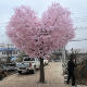Artificial Cherry Blossom Tree, Fake Peach Tree, Large Plant, Dense Artificial Cherry Blossoms, Artificial Peach Blossom Tree, Wish Tree, Peach Blossom Decoration
