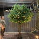 Artificial Orange Tree for Indoor Use, Large Fake Apple, Persimmon, Orange, Pomegranate Tree, Hawthorn Tree, Floor-Standing Floral Arrangement for Hotels and Shopping Malls