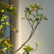 High-End Simulated Island Spring Flowers and Green Plants for Indoor Decoration, Floor-Standing Ornaments, Simple Artificial Trees and Plants for Chinese-Style Tea Rooms