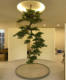 Large Hanging Artificial Welcoming Pine Tree Wall Decoration with Upside-Down Pine Branches for Indoor Display, Tea Room, Entrance, Hotel Landscaping