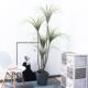 Large Artificial Green Plant Dragon Blood Tree Nordic Imitation Bonsai Decorative Plant Millennium Wood Living Room Floor-Standing Fake Potted Plant
