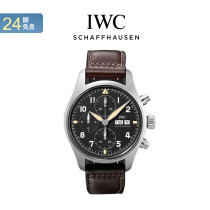 IWC Official Pilot Series Mens Watch Stainless Steel Mechanical Watch IW387903