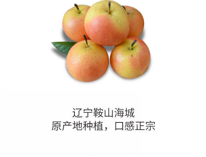 蒙福果鲜 辽宁鞍山 南果梨 带箱5斤 图1