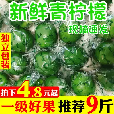 Hainan green lemon fresh fresh green skin thin juicy non-seedless drink 5kg whole box in the season now pick hair