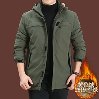 Velvet Velvet-2819 армия зеленые вечер