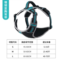 Коралловый синий грудь обратно