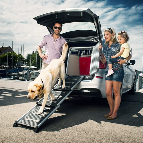 4PETS Швейцарский импортный собачий автомобиль карбида карбида авиационная алюминиевая алюминиевая 3 -слойная банка может втягивать ладья для лапкоса не -скольжения