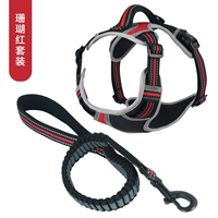 Коралловый красный грудный набор