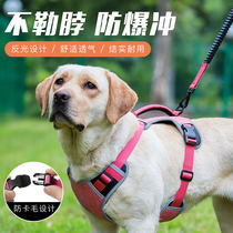 Dog leash vest style dog rope pet chest strap Teddy golden hair small dog dog chain supplies