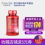 Primple Coenzyme q10 Viên nang mềm 100mg * 240 Sản phẩm sức khỏe hạt ngũ cốc Sản phẩm sức khỏe Hoa Kỳ Bản gốc - Thức ăn bổ sung dinh dưỡng vitamin c viên uống