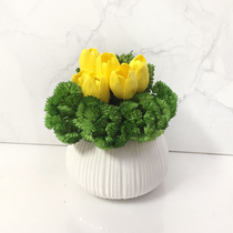 Nordic simulation plant sample room master bedroom room tea table decoration fake creative soft-clothing small pot plant