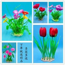 Free colored stone fish tank decoration aquatic plants simulated aquatic plants aquarium landscaping fake aquatic plants plastic aquatic plants scenery grass