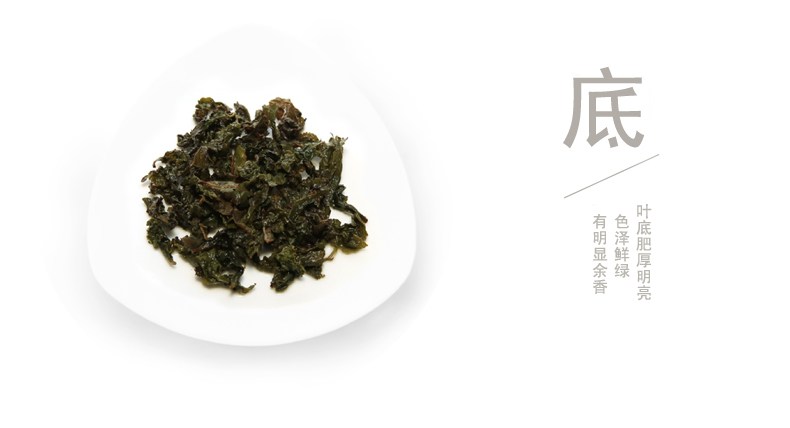 研茶园茶叶清香型茶园乌龙茶