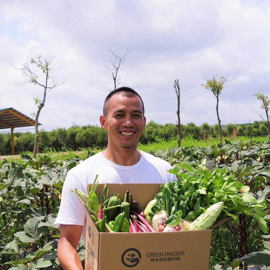Green finger 9 Jin Zhuhai City self-mentioned organic vegetables 9 times Experience share) Green home production