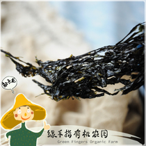 Green finger eco-head water purple vegetables *Eco Toushui laver) The cooperative production of the