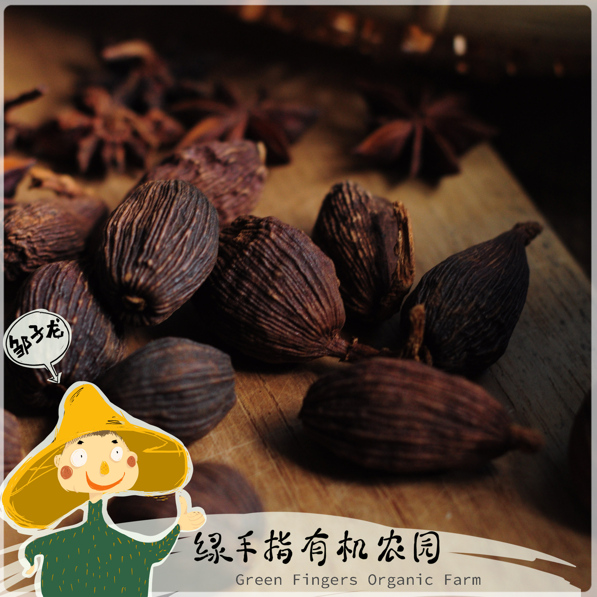 Green finger wild grass fruits * Green Fingers Wild-Tsaoko) The cooperative production of the