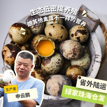 Green finger quail eggs fed with hormone-free grains