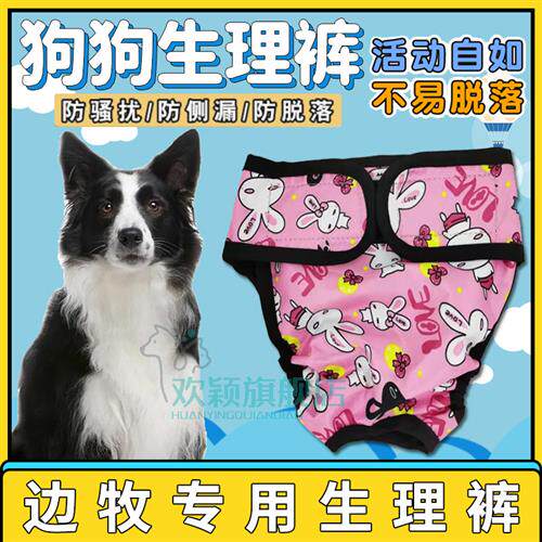 Side Pastoral Special Large Dogs Menstrual Pants Pet Motherdogs Female Aunt's Physiological Underwear Contraceptive Anti-Harassment Sanitary Pants-Taobao