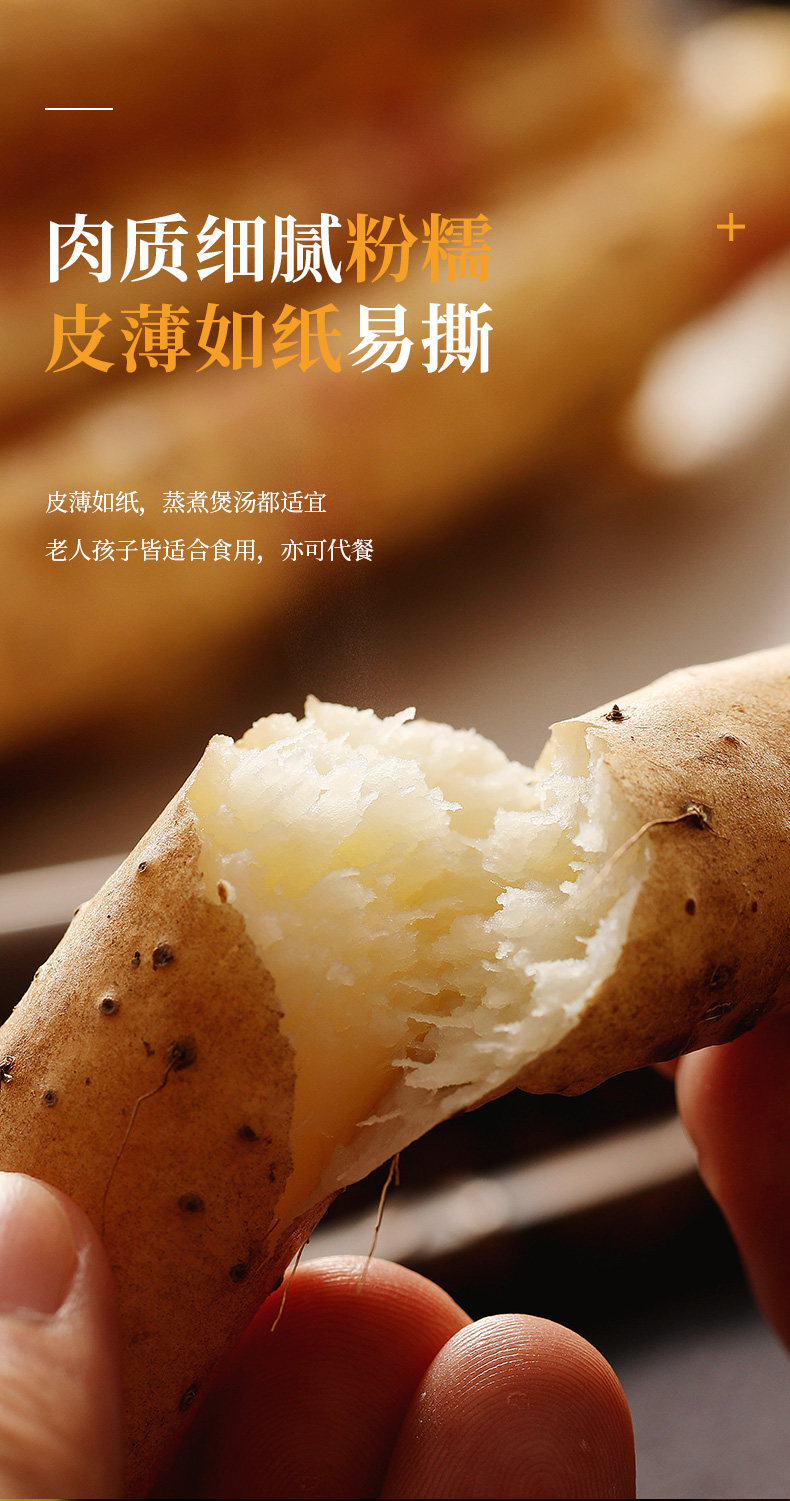 Yam General Page_05.jpg
