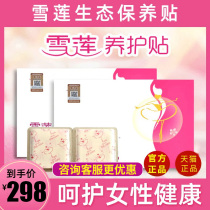  Golden Sky International snow lotus paste official flagship store Snow lotus ecological maintenance paste anti-itching pad Non-detoxifying medicine pad