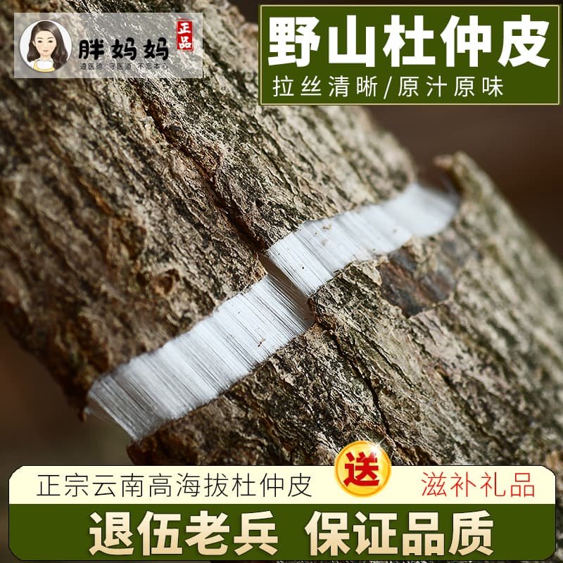 云南野山生杜仲:天然药材界的瑰宝,泡茶泡酒的养生新宠!-杜仲-淘宝百科网