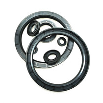 Double lip skeleton oil seal TC8 9 10 11 13 11 13 14 15 16 16 18 17 17 24 * 4 5 6 7 8 10
