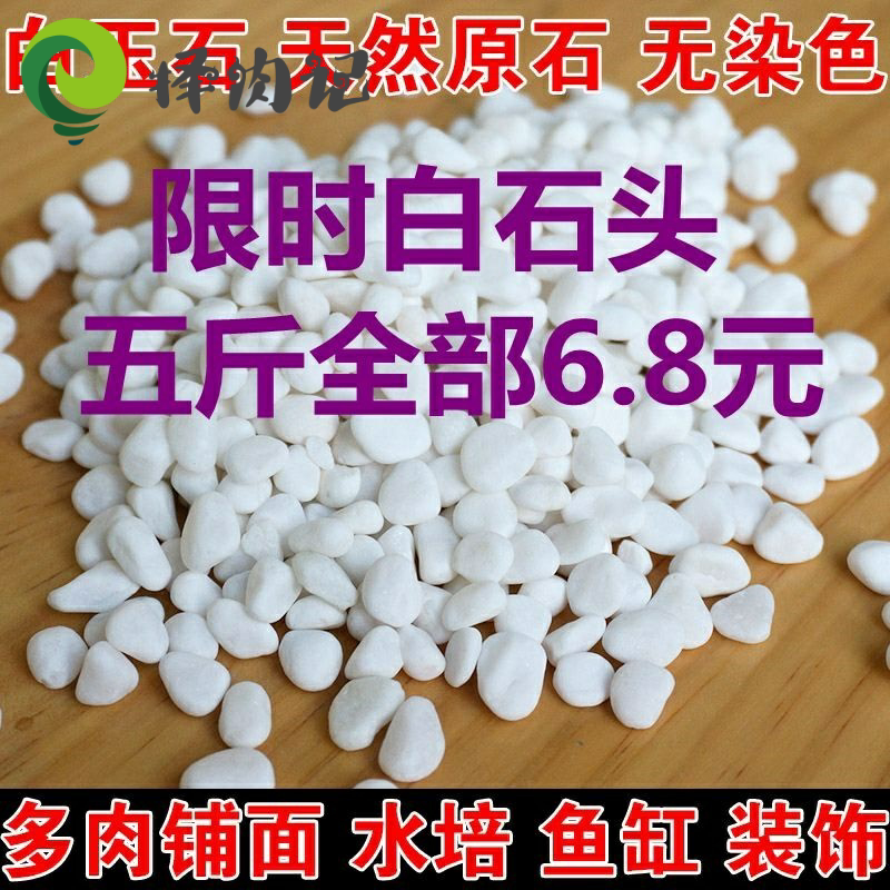  Pebble white jade cobblestone gardening potted stone multi-meat paving stone fish tank made of scenery